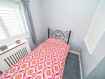 Picture 20